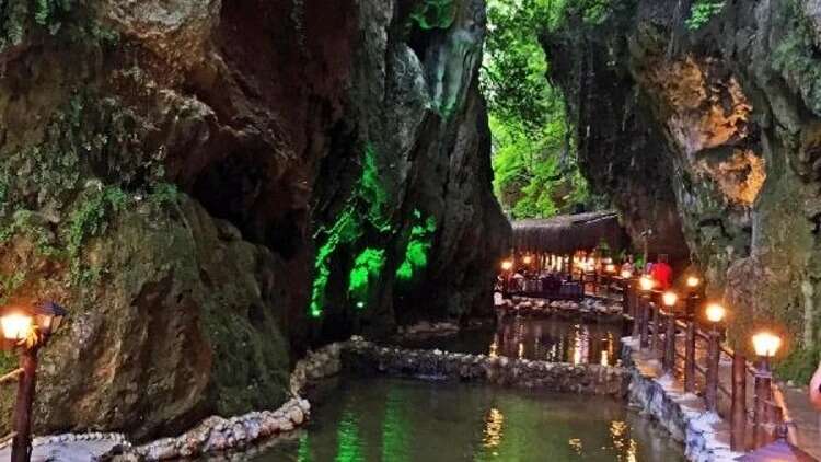 Muğla’da 20 Yıllık İhale:  Damla Deresi Orman Parkı İçin Fiyat Belli Oldu 1